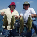 Great Lakes Bass Fishing Guide Service on Lake St. Clair Smallmouth in Michigan.